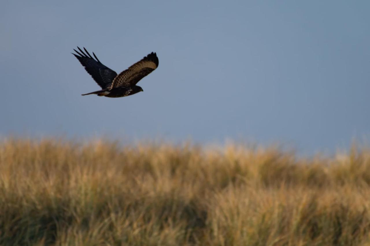 Appartement Seabird Zandvoort Eksteriør bilde